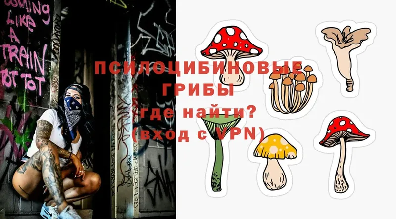 наркошоп  Можга  Галлюциногенные грибы Magic Shrooms 